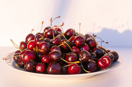 Berries. Fresh, appetizing, delicious, healthy, fragrant, varietal cherry. Healthy eating.の写真素材