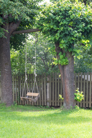 Wooden swing hanging from a tree in a garden with green grassの写真素材