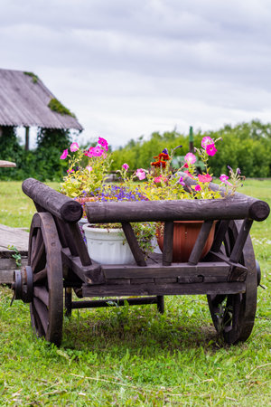 Wooden card with flowers. There are pots with flowers on a wooden cart. Beautifully decorated territory.の写真素材