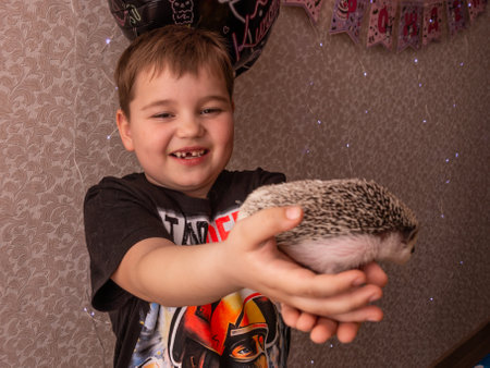 Russia, Moscow region - April, 2024. A boy holds a small pet hedgehog in his arms.のeditorial素材