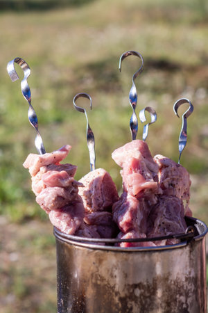 Delicious, mouth-watering barbecue on skewers. Food. Picnic. Pork kebab.の写真素材