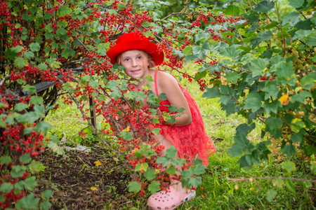 A beautiful girl in a bright outfit near a red currant bush.の写真素材