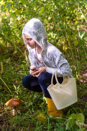 In autumn, a girl collects mushrooms in the forest.の写真素材