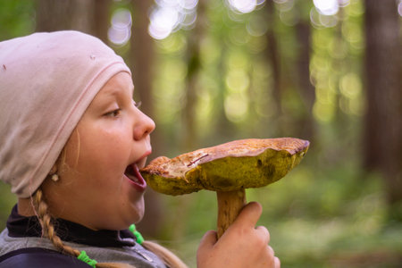 In autumn, a girl collects mushrooms in the forest.の写真素材