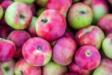 Juicy ripe delicious apples in a basket. Fruit. Harvest.