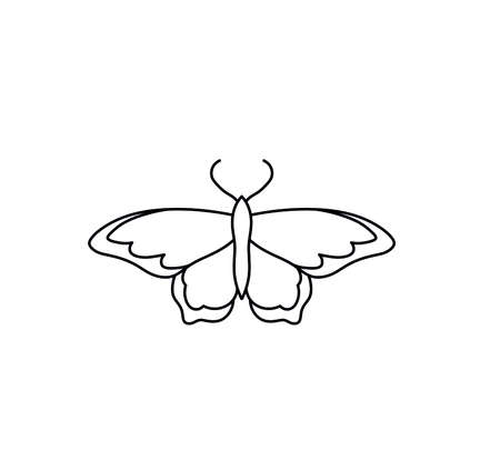 Vector isolated butterfly contour black line drawing. Colorless black and white symmetrical butterfly moth. Butterfly neat graphic tattoo, pattern, print, poster elementのイラスト素材