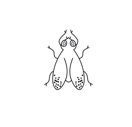 Vector isolated cicada contour black line drawing. Colorless black and white symmetrical big fly. Gadfly or horsefly neat graphic tattoo, pattern, print, poster elementのイラスト素材