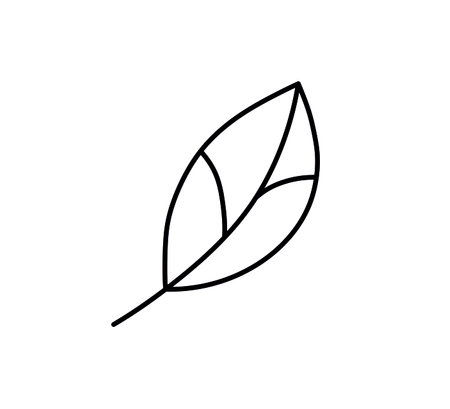 Vector isolated simple minimal tree leaf line drawing. Tree leaf icon logotype symbol logo.のイラスト素材