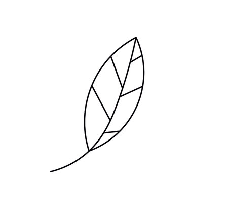 Vector isolated simple minimal tree leaf line drawing. Tree leaf icon logotype symbol logo.のイラスト素材