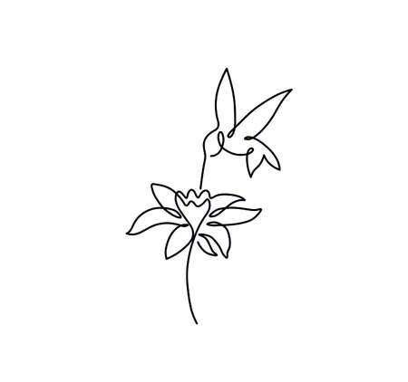 Vector isolated flying hummingbird with flower one line drawing. Hummingbird single line graphic sketch.のイラスト素材
