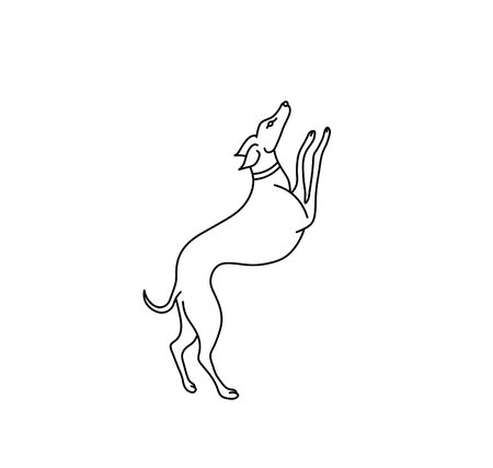 Vector isolated jumping hound greyhound dog contour line drawing. Black and white greyhound line hand drawn sketchのイラスト素材