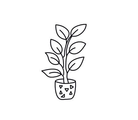 Vector isolated zamiokulkas line drawing. Colorless contour cute houseplant doodle line sketch.のイラスト素材