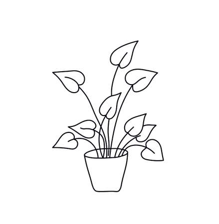 Vector isolated houseplant line doodle drawing.のイラスト素材