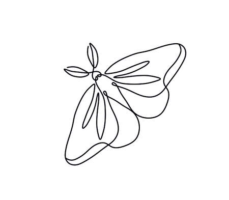 Vector isolated moth line drawing. One line night moss graphic sketch. Moth tattoo, pattern, graphic art.のイラスト素材