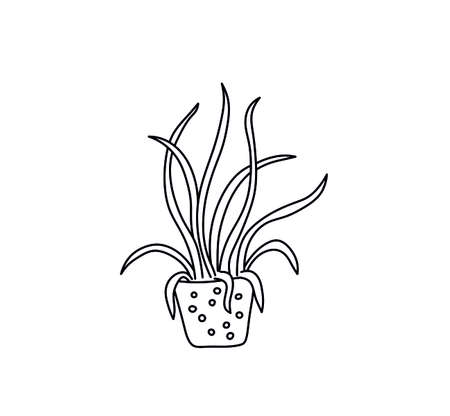 Vector isolated home plant line doodle colorless drawing.のイラスト素材