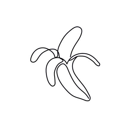 Vector isolated one line banana single line drawing. Colorless graphic banana sketch.のイラスト素材