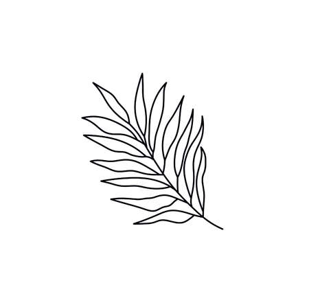 Vector isolated palm tree branch graphic drawing. Contour black line palm branch pattern, tattoo, graphci art.のイラスト素材