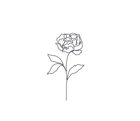 Vector isolated one line flower drawing. Single line art peony branch. Ink graphic art flowerのイラスト素材