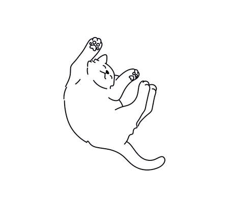 Vector isolated cute cartoon cleeping lazy cat contour black line drawingのイラスト素材