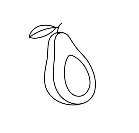 Vector isolated avocado line graphic drawing. Simple minimal black line avocado icon logotype symbolのイラスト素材