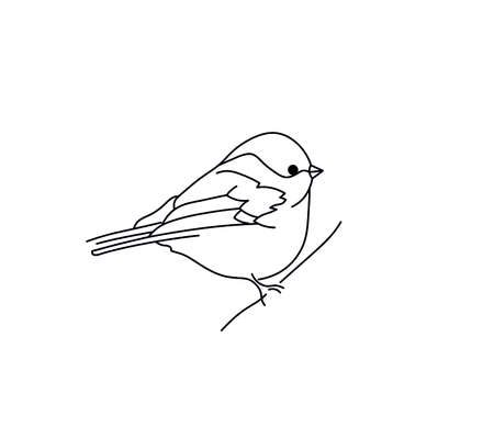 Vector isolated bird on a branch contour black line drawing. Black and white colorless small bird sparrow, bullfinch, titmouse hand drawn graphic tattoo, poster element, patternのイラスト素材