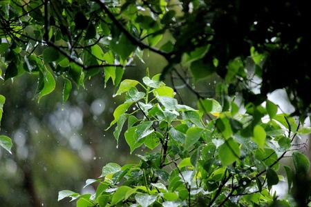 A rainy day.