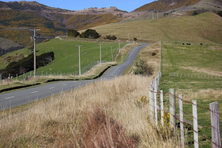 A very long stretch of road in New Zealand.