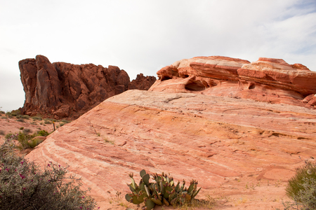 Amazing colors and shape of the Fire Wave rock in Valley of Fire State Park, Nevada, USAの写真素材