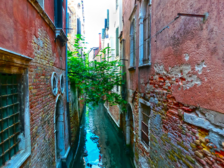 The classical picture of the venetian canal with green treeの写真素材