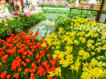 Las Vegas, United States of America - May 05, 2016: The Japanese flowering garden at luxury hotel Bellagio at Las Vegas, United States of Americaのeditorial素材