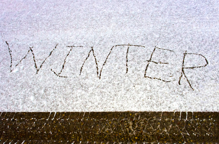 Car track in fresh snowの写真素材