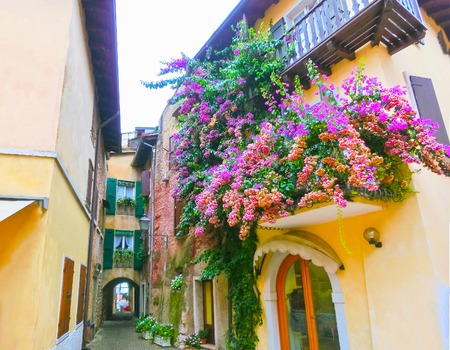 The old town at Torri del Benaco at Garda Lake in Italyの写真素材