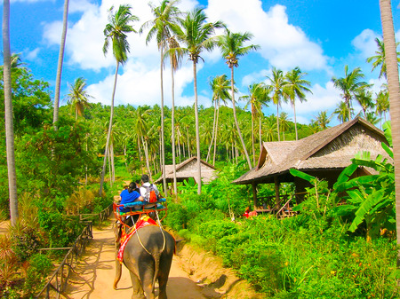 Tourists riding elephants in Thailandの写真素材