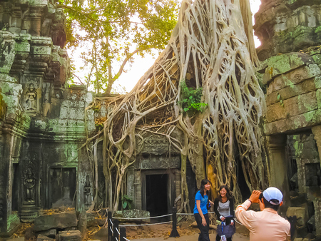 Angkor Wat, Cambodia - February 17, 2011: Classical picture of Ta Prohm Temple, Angkor, Cambodiaのeditorial素材