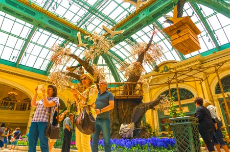 Las Vegas, United States of America - May 05, 2016: The Japanese flowering garden at luxury hotel Bellagioのeditorial素材