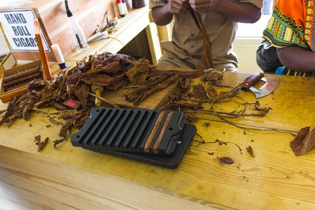 Traditional manufacture of cigars at the cuban tobacco factory, Havanaの写真素材