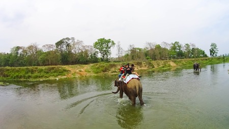 Elephant safari in Chitwan National Park, Nepal