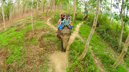 Elephant safari in Chitwan National Park, Nepal