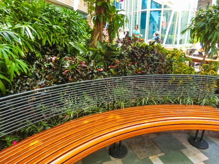 Cape Canaveral, USA - April 29, 2018: The central park at cruise liner or ship Oasis of the Seas by Royal Caribbeanのeditorial素材