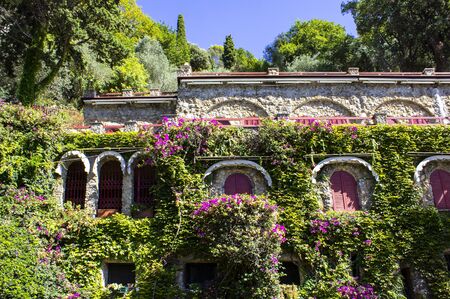 Beautiful traditional street with flowers of the Portofino, Liguria, Italyの写真素材
