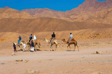Sharm El Sheikh, Egypt - February 17, 2020: Tourist rides camel on beach with help of Egyptian man on February 17, 2020 in Sharm el Sheikh, Egypt.のeditorial素材