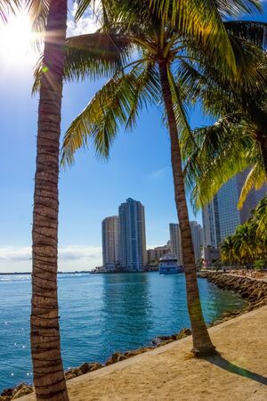 Early morning light in Bayfront Park at Miami