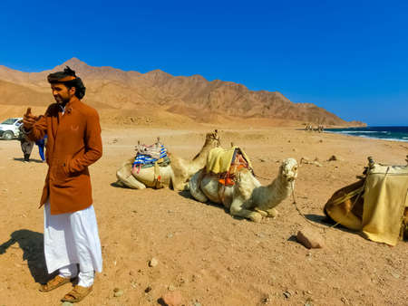 Sharm El Sheikh, Egypt - February 17, 2020: The local Egyptian man and camels on beach on February...