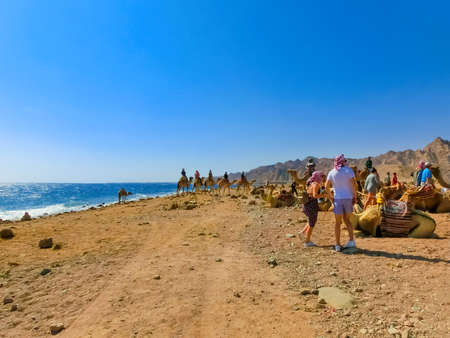 Sharm El Sheikh, Egypt - February 17, 2020: Tourist rides camel on beach with help of Egyptian man on February 17, 2020 in Sharm el Sheikh, Egypt.のeditorial素材