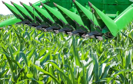 Agricultural machinery at Ukraine. Combine headers and fronts. Corn harvester.の写真素材