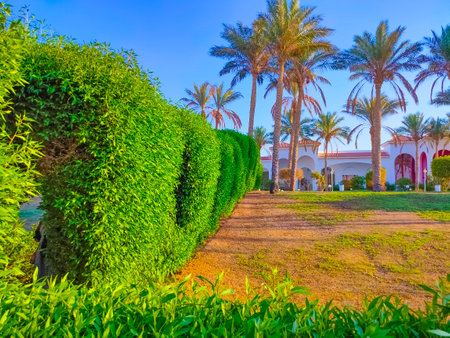 Sharm El Sheikh, Egypt - September 14, 2020: Hotel Siva Sharm, ex Savita Resort, 5 stars at Sharm El Sheikh, Egypt on September 14, 2020のeditorial素材