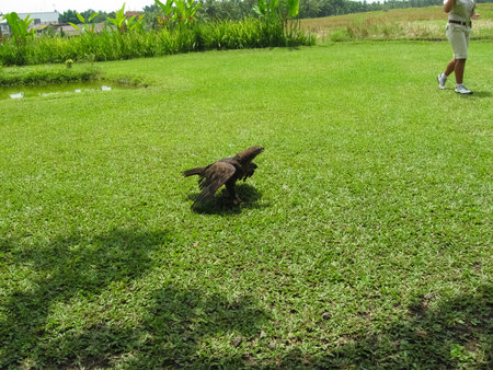 The Bird park at Bali island at Indonesia