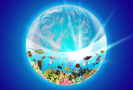 Conceptual image of world ocean as a planet or globe in space. Environmental protection concept. Underwater world. Coral reef and fishes of Red seaの写真素材