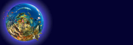 underwater paradise background - coral reef wildlife nature collage with sea turtle and colorful fish background. Creative art collageの写真素材