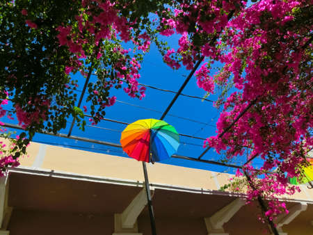 Puerto Plata, Dominican Republic - May 4, 2022: Street Umbrellas in Puerto Plata, Dominican Republicのeditorial素材